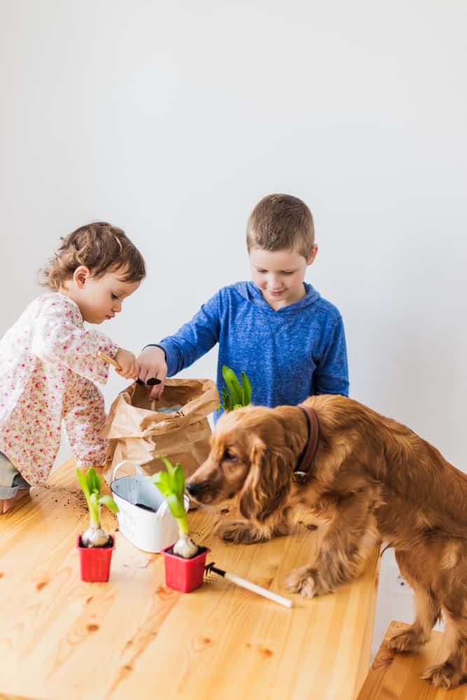 gardening with kids