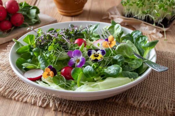 grow salad indoors