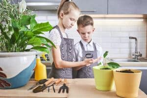 Houseplants for Children, Family Friendly Plants