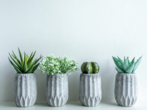 concrete pots