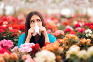 houseplants and allergies