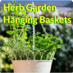 Herb Garden Hanging Baskets