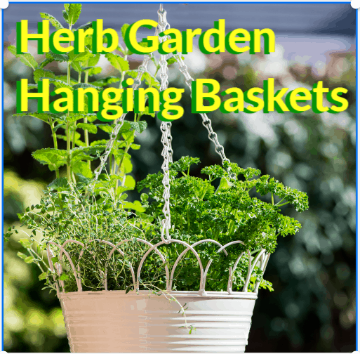 Herb Garden Hanging Baskets - HouseplantJoy.com