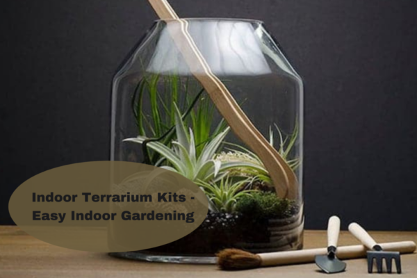 INDOOR TERRARIUM KITS