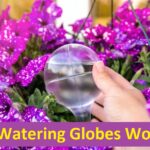 do watering globes work