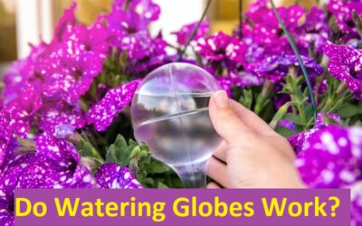 do watering globes work