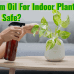 neem oil for indoor plants