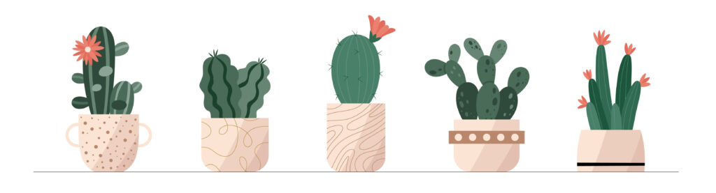 novelty cactus planters