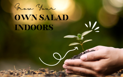 Title-Grow Your Own Salad Indoors