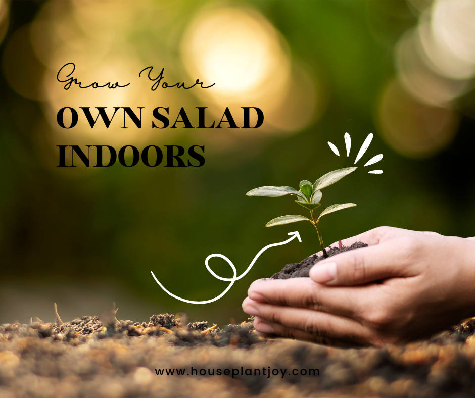 Title-Grow Your Own Salad Indoors