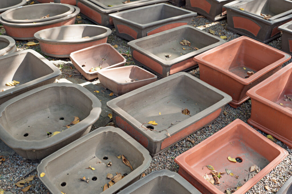 empty bonsai pots