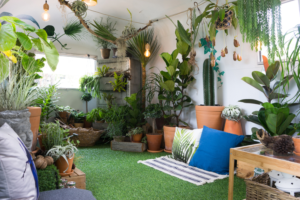 indoor garden haven