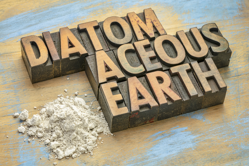 diatomaceous earth