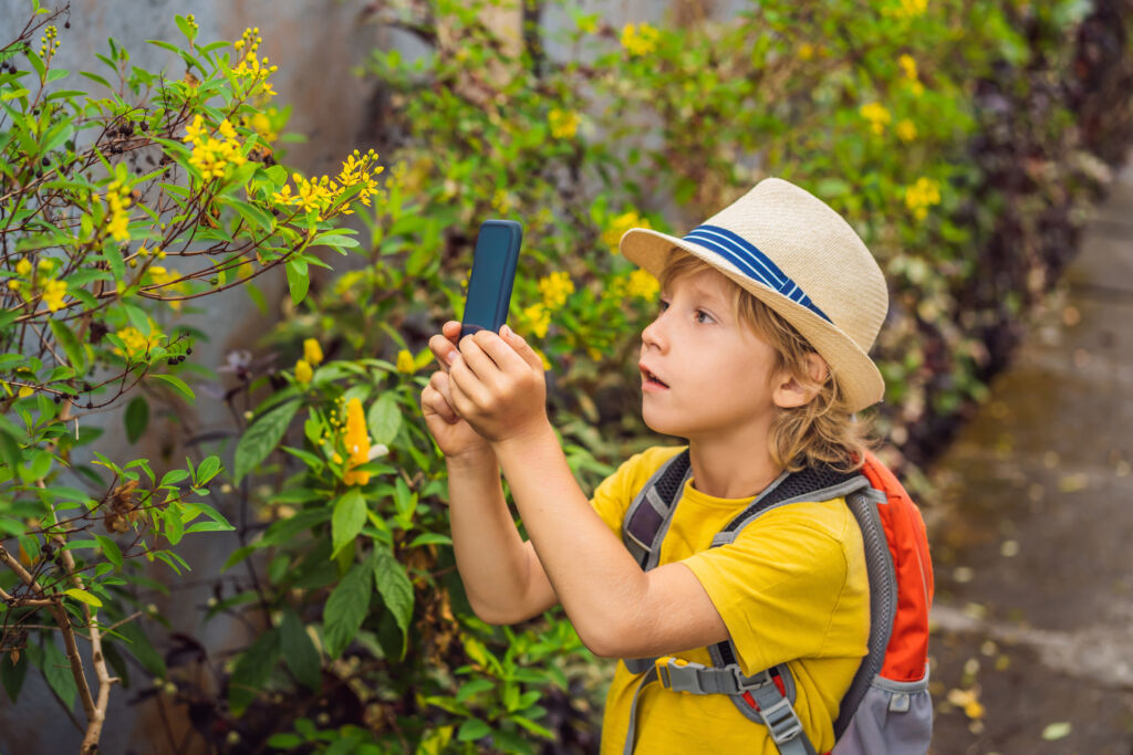 phone apps for plant ID