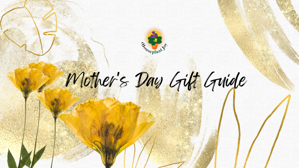 mother's day gift guide