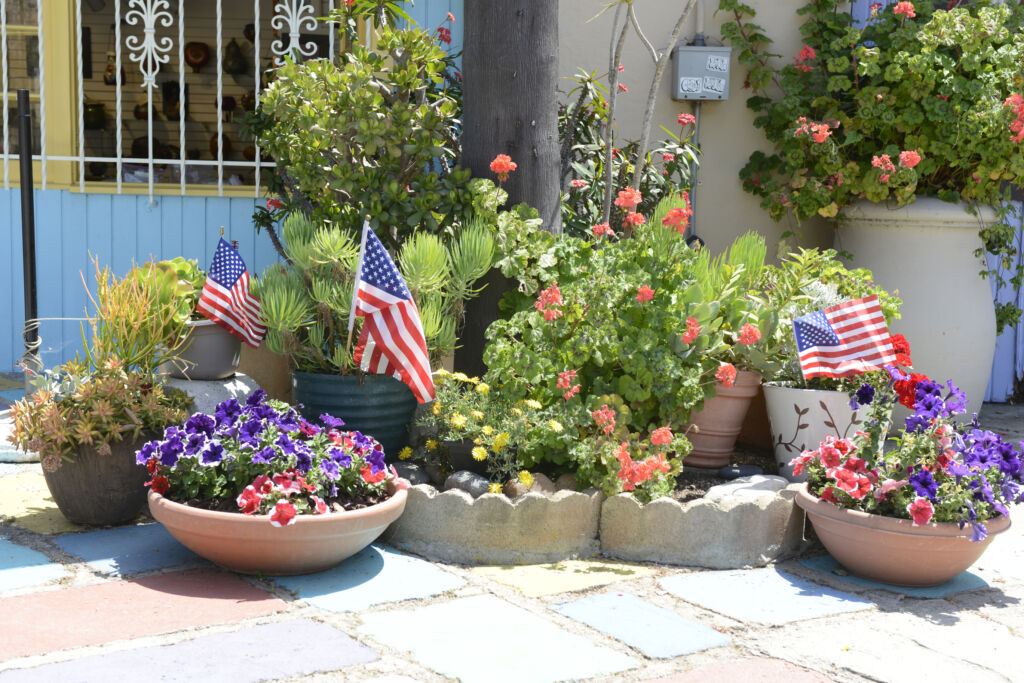 plants for memorial day