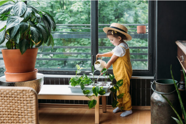 Little girl watering houseplants