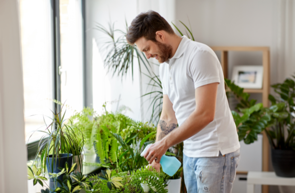 link between houseplants and mental health