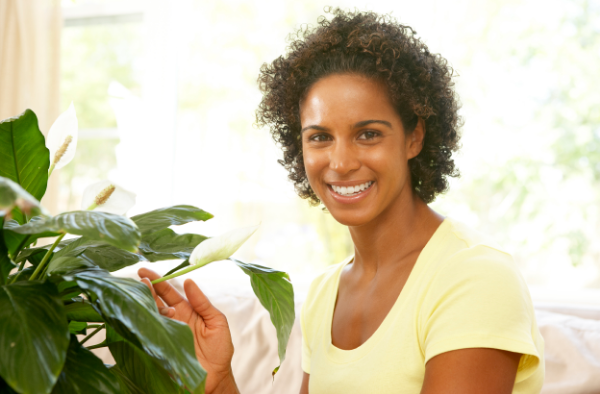 Woman looking after peace lily houseplant