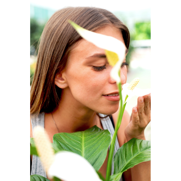 Woman sniffing a peace lily houseplant