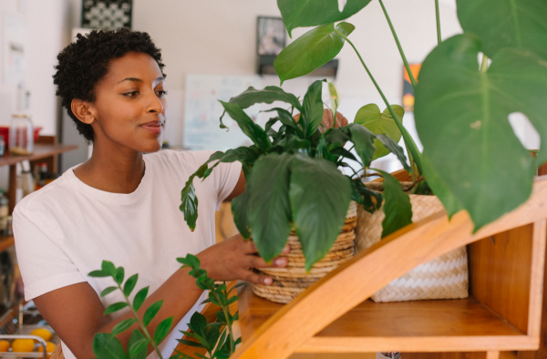 link between houseplants and mental health