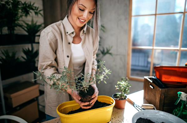 link between houseplants and mental health