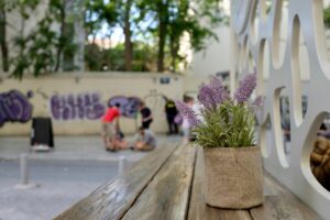 spanish or french lavender in a house