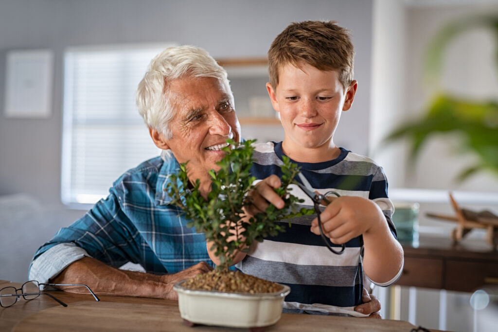 bonsai pruning