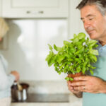 fragrant indoor plants