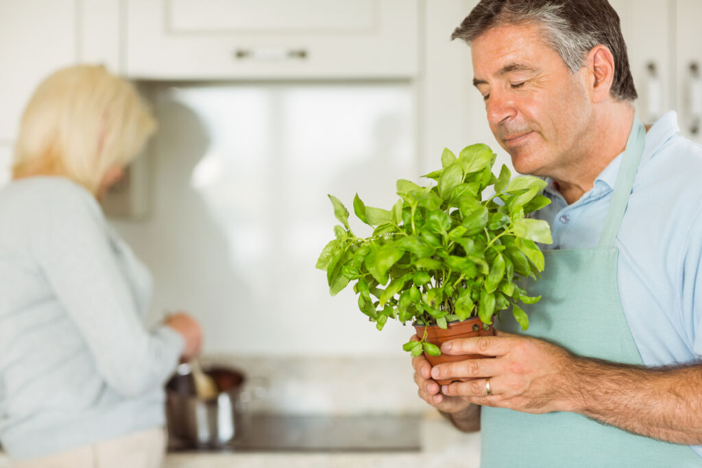 fragrant indoor plants