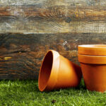 types of plant pots