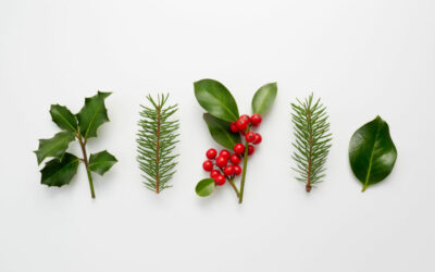 holiday decorating with houseplants