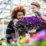 smelling scented plants