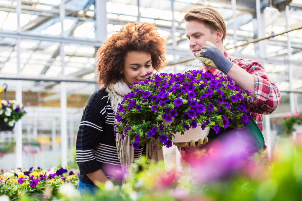 smelling scented plants