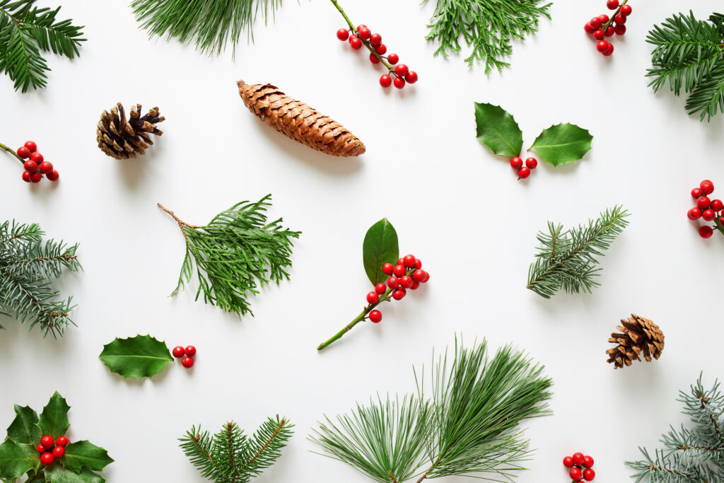 holiday decorating with houseplants