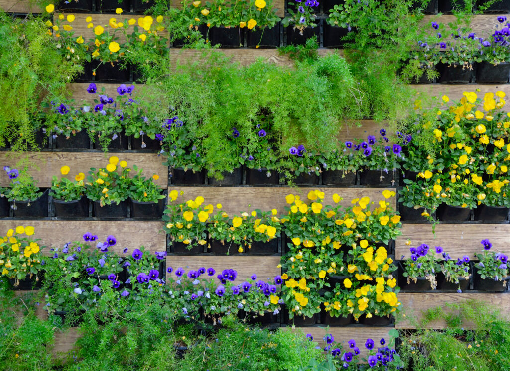 A Beautiful Green Wall