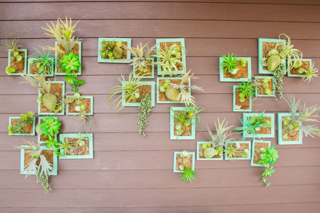 Vertical Gardening Indoors