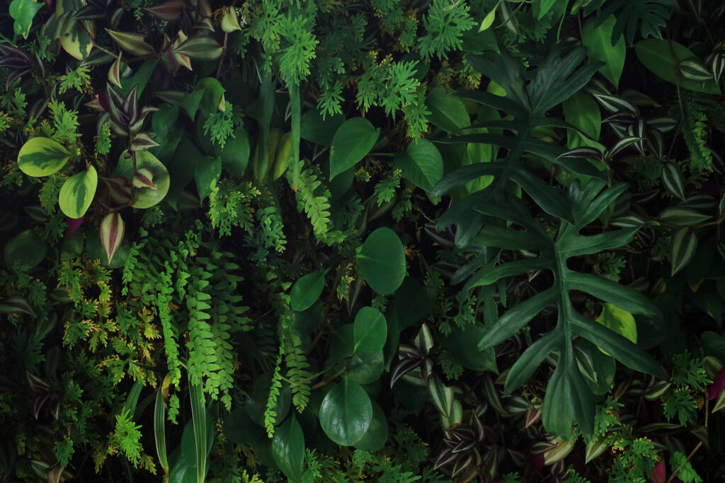 Pothos with Other Plants in a Vertical Garden