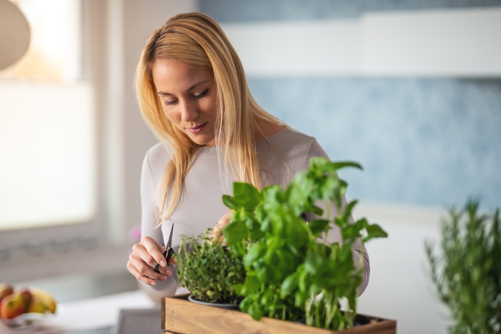 indoor herb garden