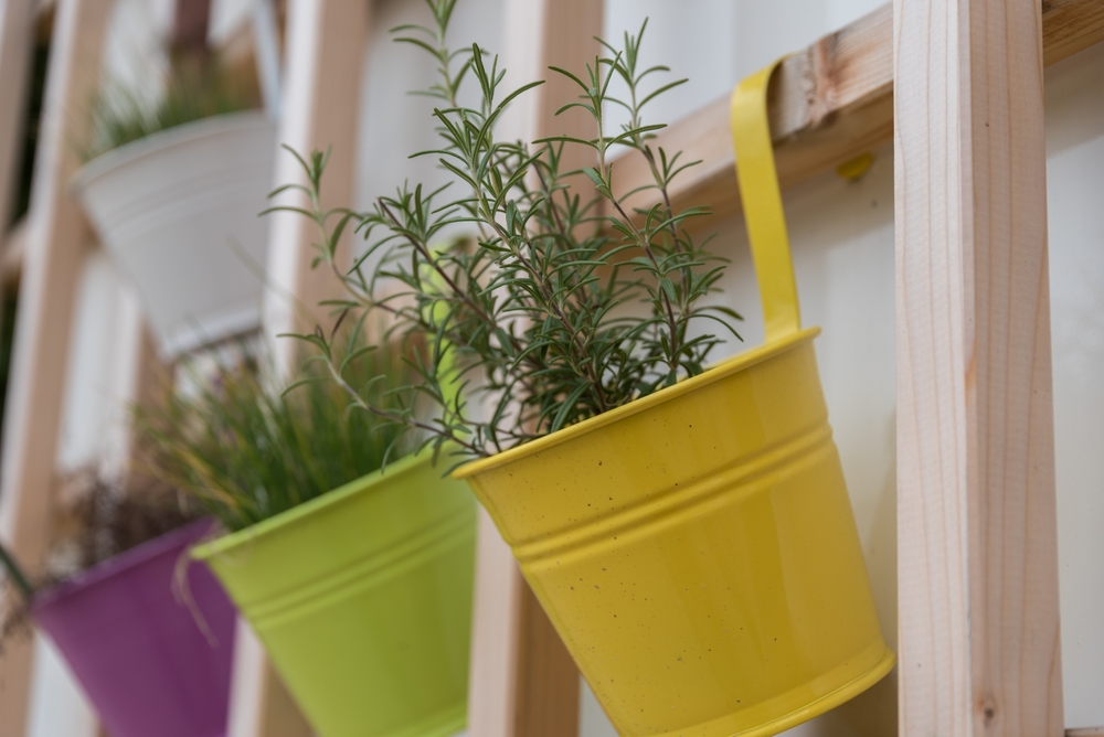 indoor herb garden