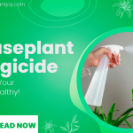 Houseplant Fungicide