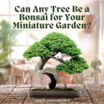 Can Any Tree Be a Bonsai for Your Miniature Garden?