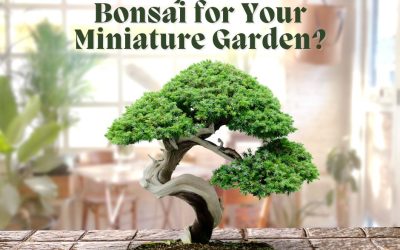 Can Any Tree Be a Bonsai for Your Miniature Garden?