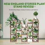 Title-New England Stories Plant Stand Review - The Ideal Plant Display Solution for Indoors and Outdoors