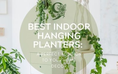 9 Best Indoor Hanging Planters A Perfect Addition to Your Home Decor