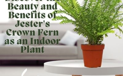 Discover the Beauty and Benefits of Jester's Crown Fern as an Indoor Plant