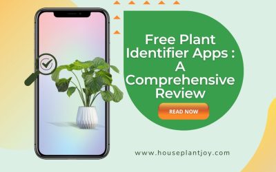 Free Plant Identifier Apps A Comprehensive Review