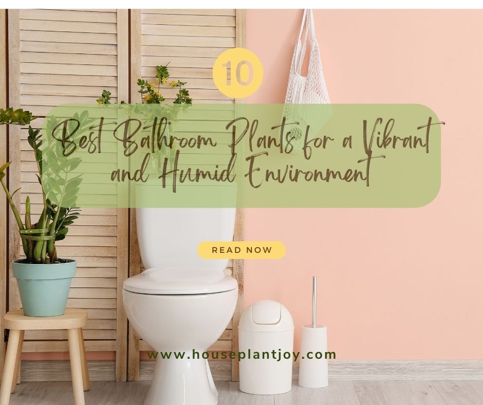 10 Best Bathroom Plants for a Vibrant and Humid Environment