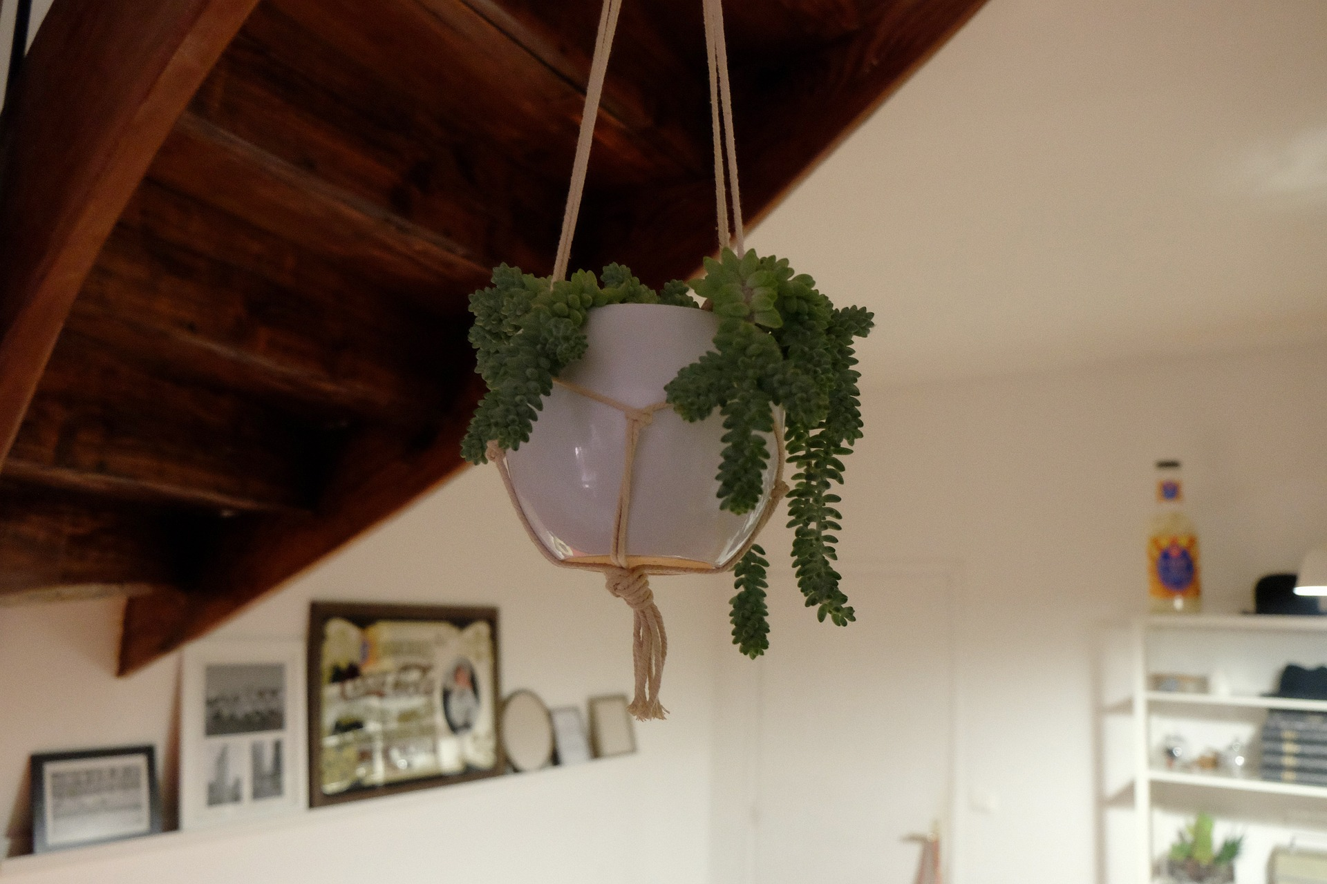 A beautiful image showcasing various hanging plant ideas to create a serene Bedroom Greenery Retreat.