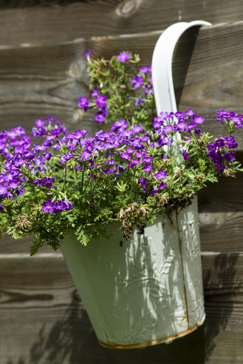 A DIY hanging plant container with a s hook and macrame holders